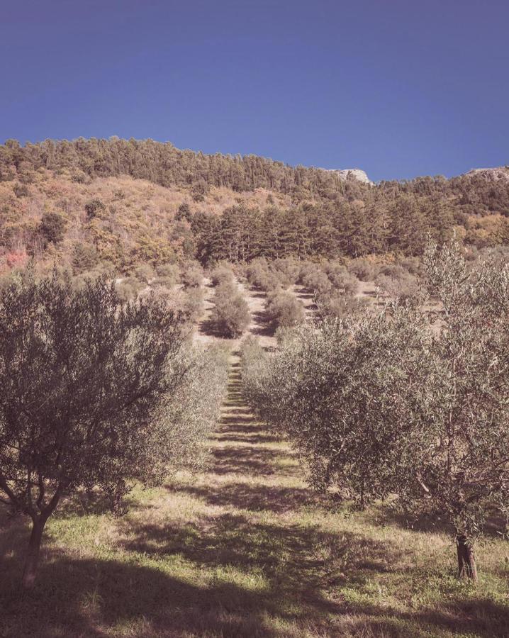 Agriturismo Querceto Mocaiana Екстер'єр фото