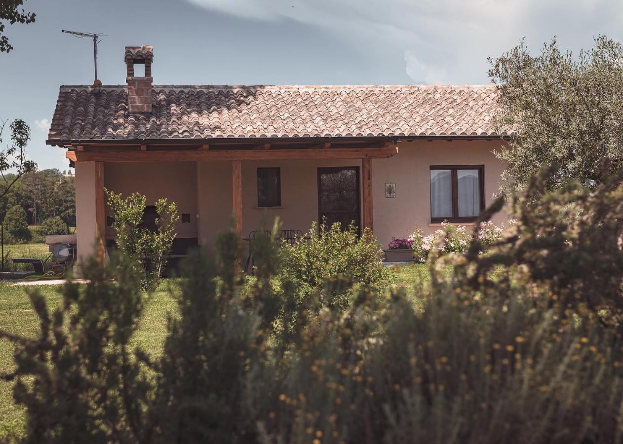 Agriturismo Querceto Mocaiana Екстер'єр фото