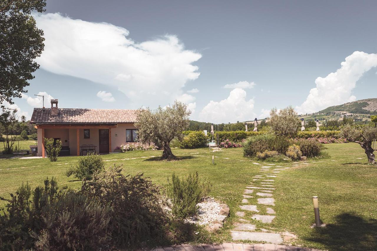 Agriturismo Querceto Mocaiana Екстер'єр фото